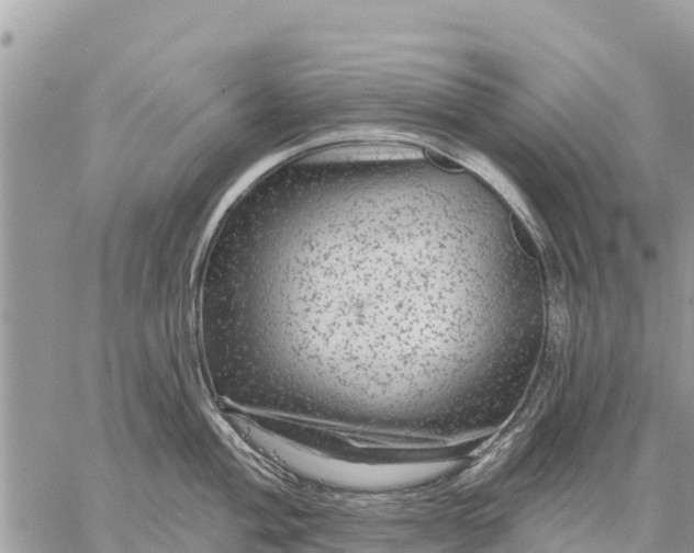 X0000059101004200510172115