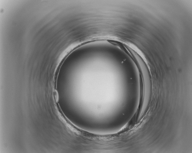 X0000059101005200510172115