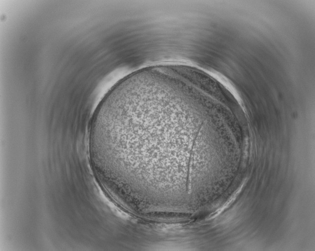 X0000059101006200510172115