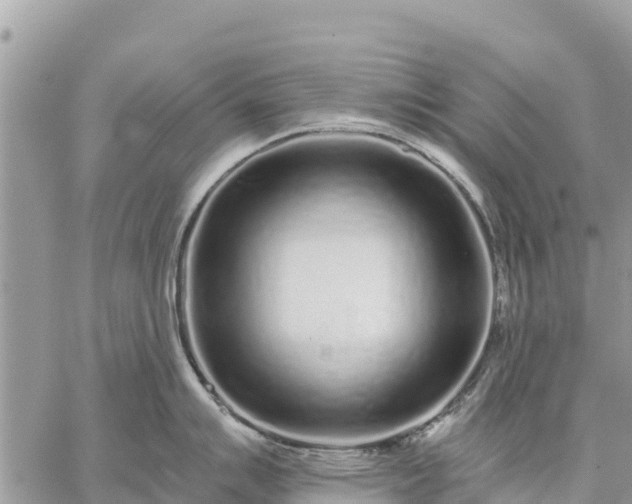 X0000059101007200510172115