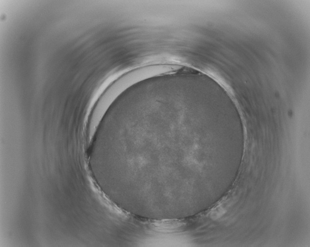 X0000059101008200510172115