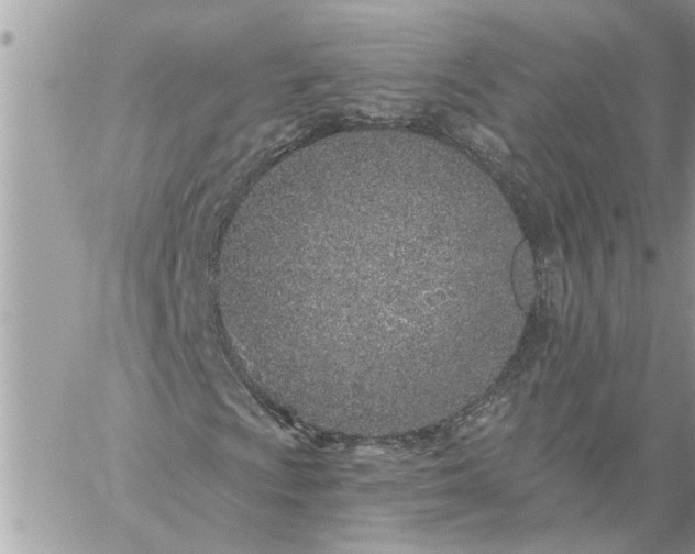 X0000059101009200510172114