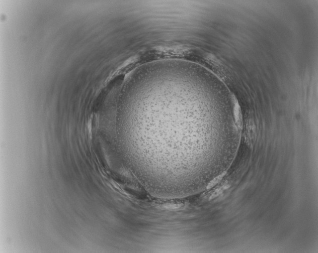 X0000059101010200510172114