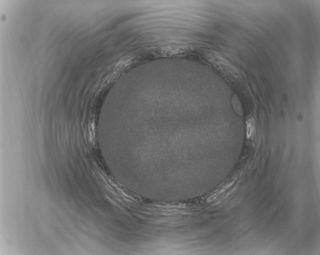 X0000059101011200510172114