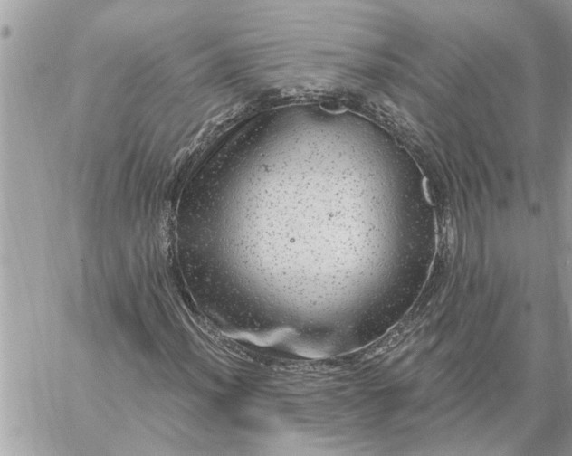 X0000059101012200510172114