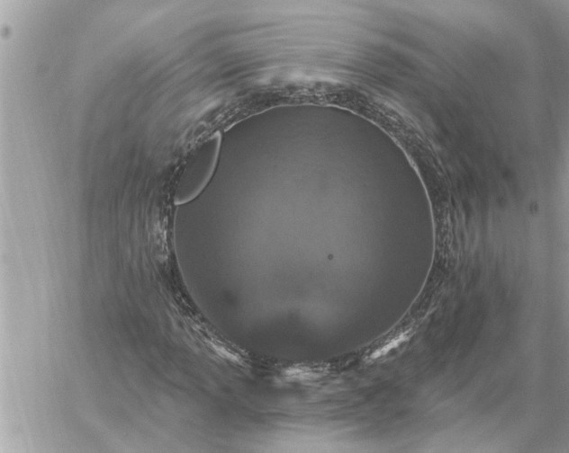 X0000059101013200510172114