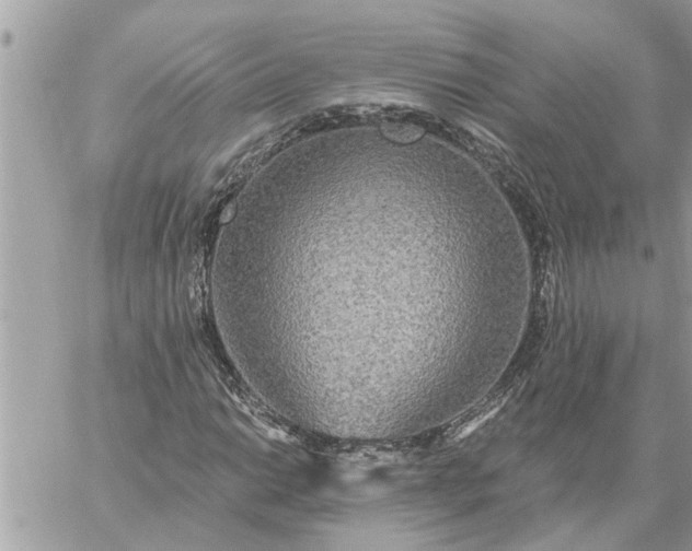 X0000059101014200510172114