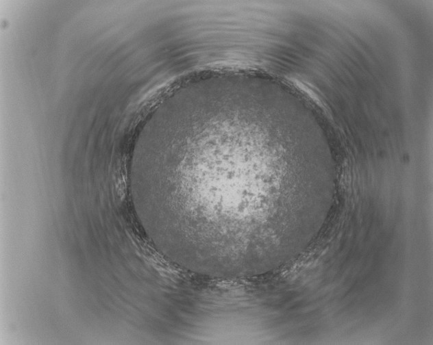 X0000059101015200510172114