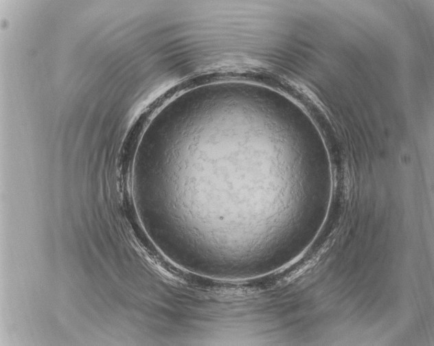 X0000059101018200510172114