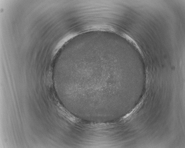 X0000059101019200510172114