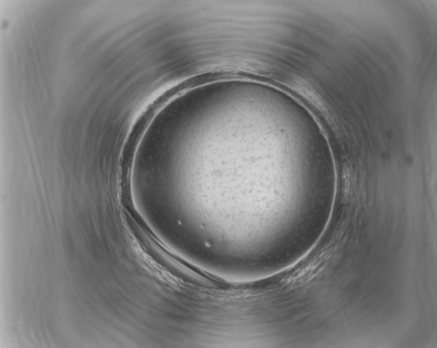 X0000059101020200510172114