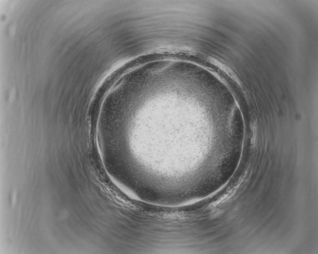 X0000059101021200510172114