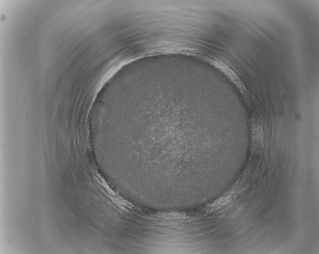 X0000059101023200510172114