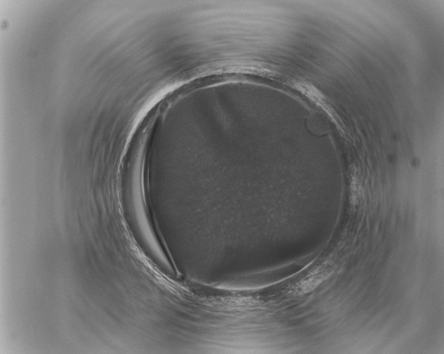 X0000059101024200510172114