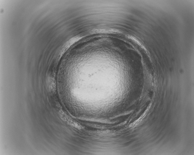 X0000059101025200510172114