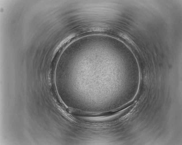 X0000059101026200510172114