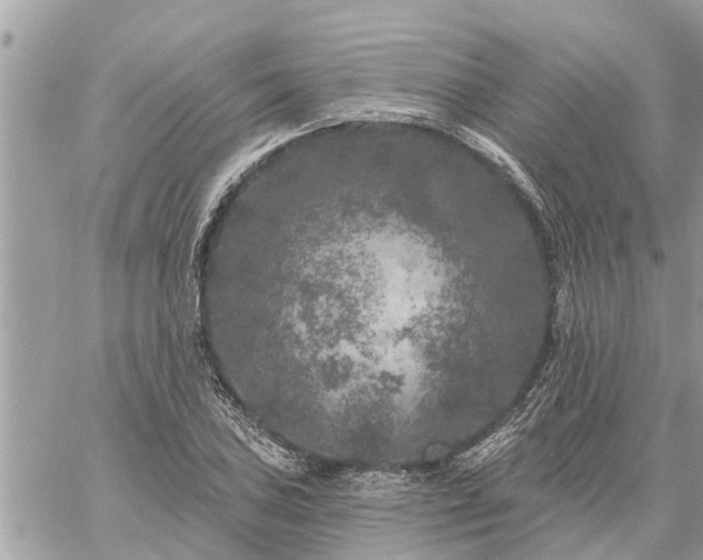 X0000059101027200510172114