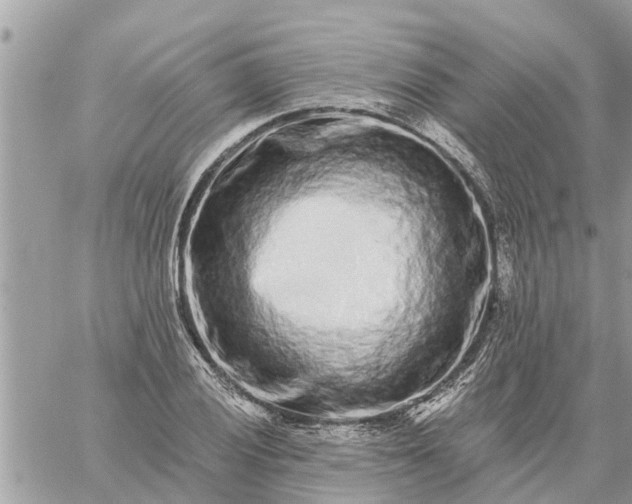 X0000059101028200510172114