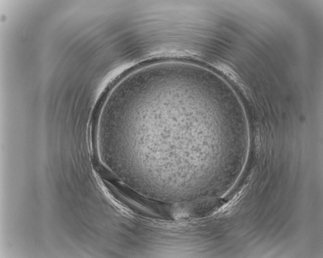 X0000059101030200510172115