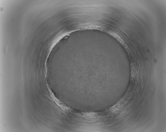 X0000059101031200510172115