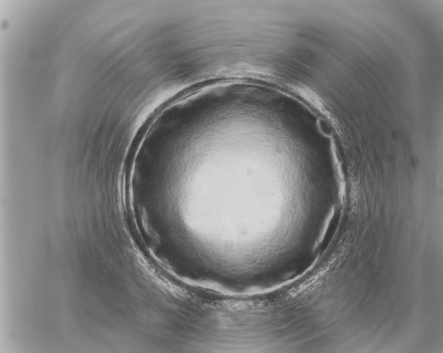 X0000059101032200510172115