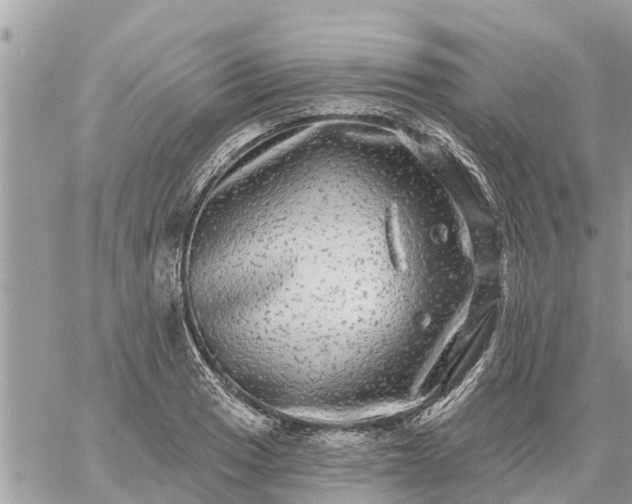 X0000059101033200510172115