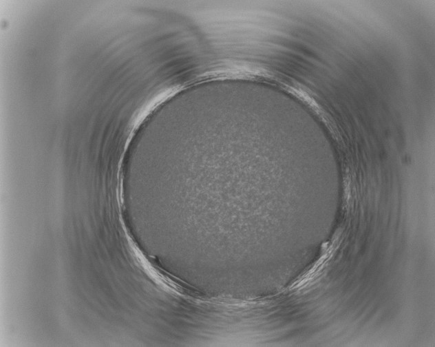 X0000059101034200510172115