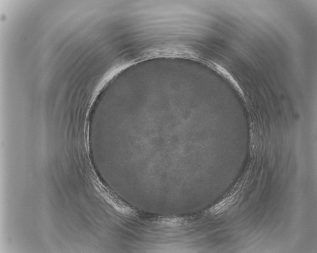 X0000059101035200510172115