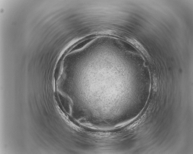 X0000059101036200510172115