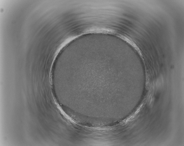 X0000059101037200510172115