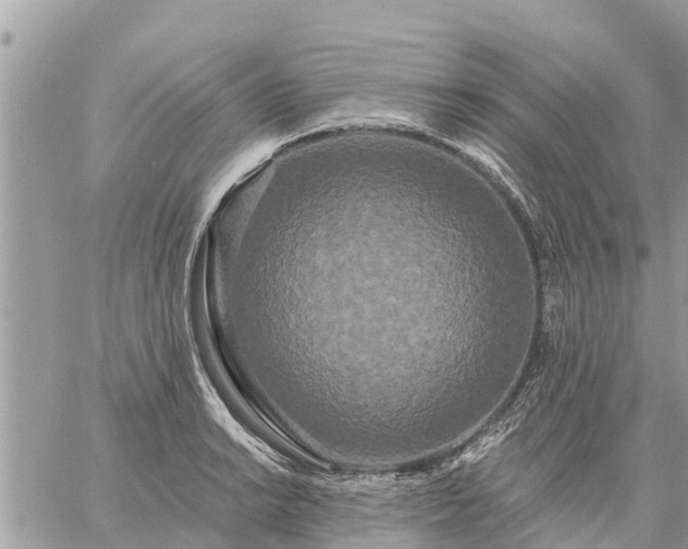 X0000059101038200510172115