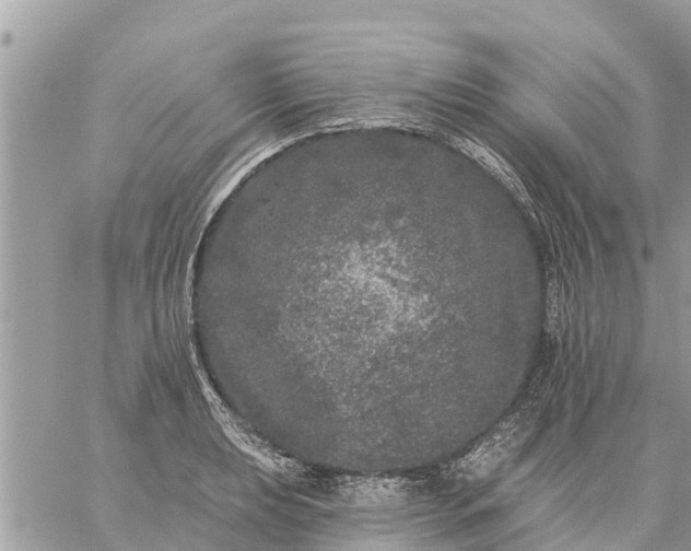 X0000059101039200510172115