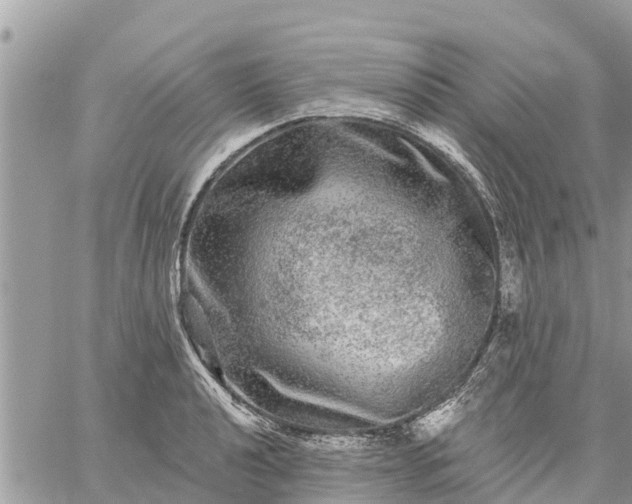 X0000059101040200510172115