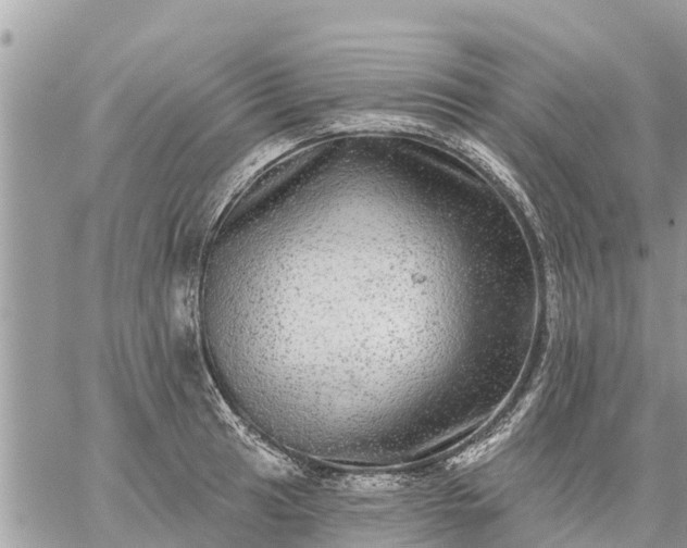 X0000059101041200510172115