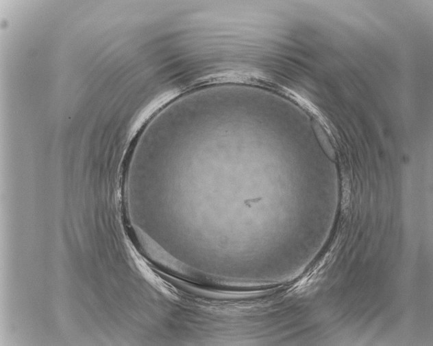 X0000059101042200510172115