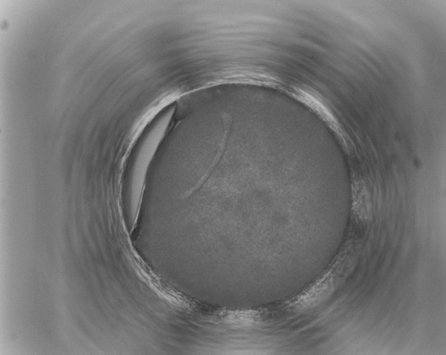 X0000059101043200510172115