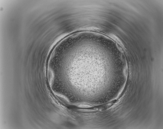 X0000059101044200510172115