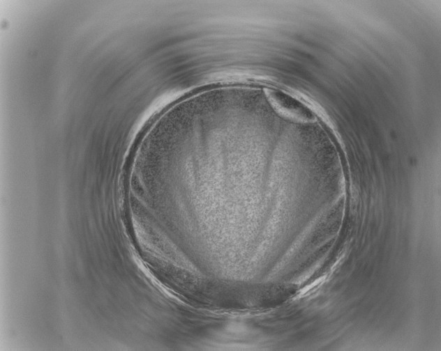 X0000059101045200510172115