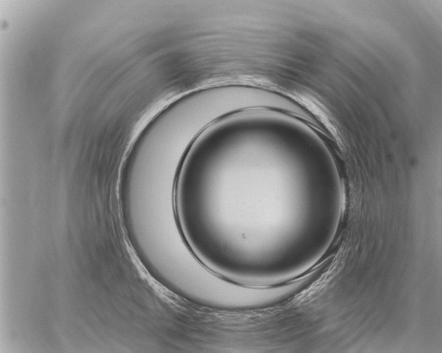 X0000059101046200510172115