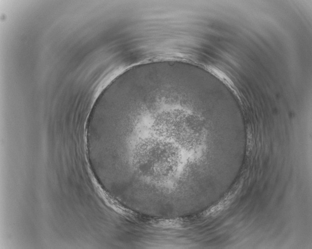 X0000059101047200510172115