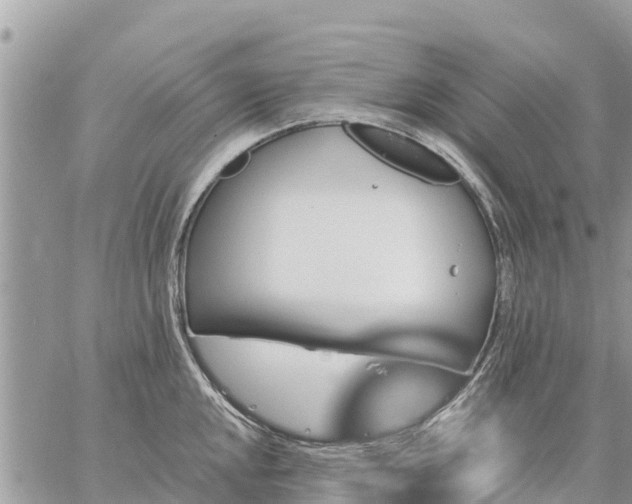 X0000059101048200510172115