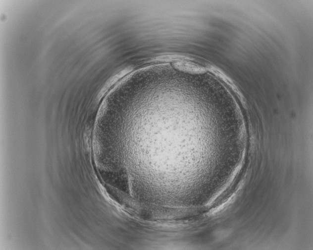 X0000059101049200510172115