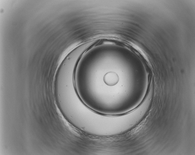 X0000059101050200510172115