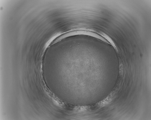 X0000059101051200510172115