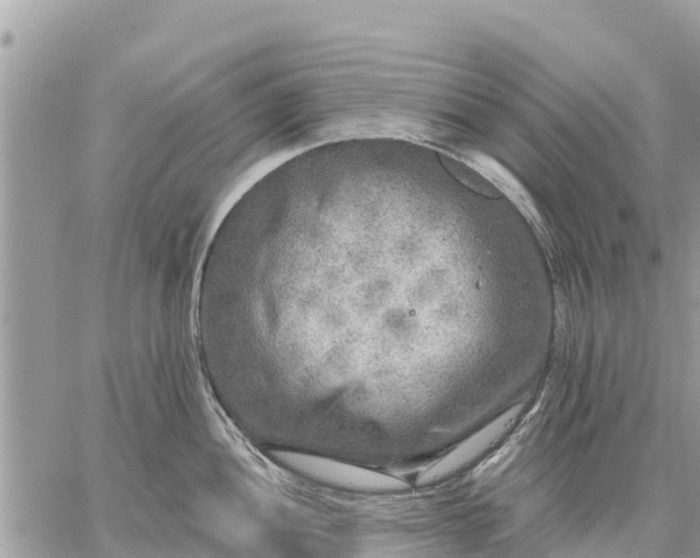 X0000059101052200510172115