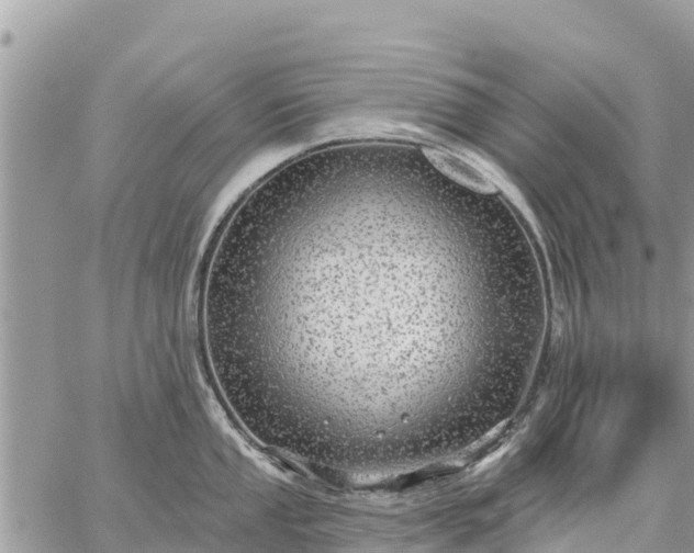 X0000059101053200510172115