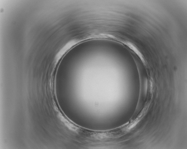 X0000059101054200510172115