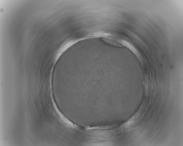 X0000059101055200510172115