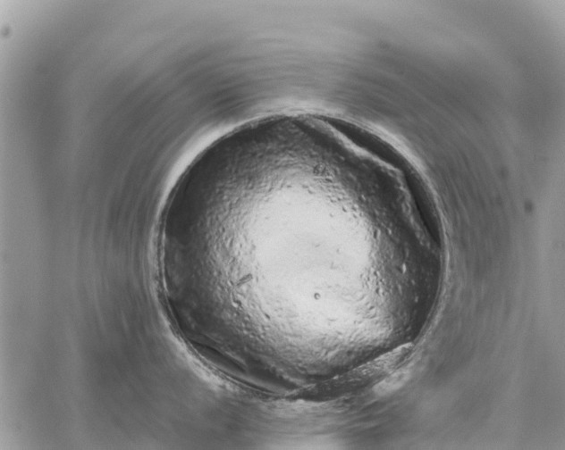 X0000059101056200510172115