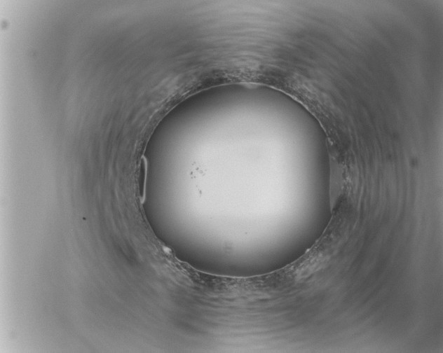 X0000059101057200510172114